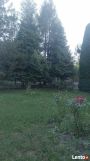 dom wolnostojący, 3 pokoje Bielcza. Zdjęcie 1