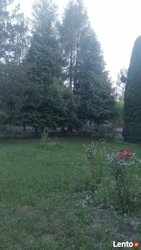 dom wolnostojący, 3 pokoje Bielcza. Zdjęcie 2