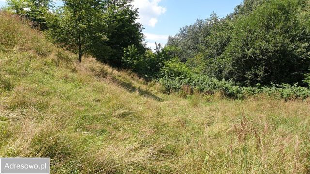 Działka budowlana Zabrze Pawłów, ul. gen. Władysława Sikorskiego. Zdjęcie 1