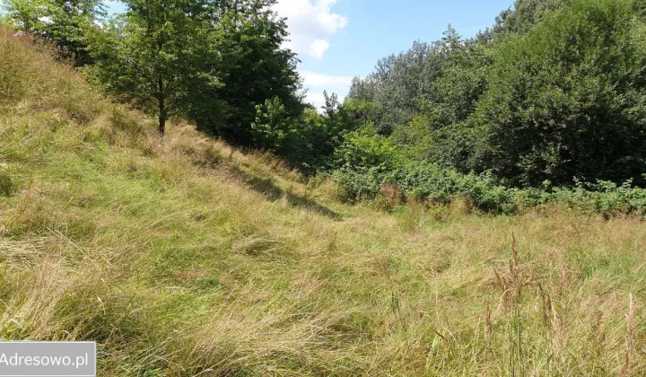 Działka budowlana Zabrze Pawłów, ul. gen. Władysława Sikorskiego