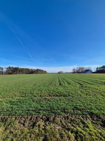 Działka budowlana Główiew, ul. Akacjowa. Zdjęcie 1