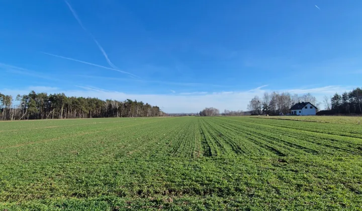 Działka budowlana Główiew, ul. Akacjowa