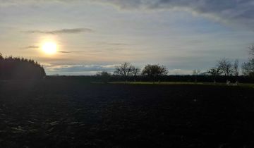 Działka budowlana Domaniów, ul. Wiosenna