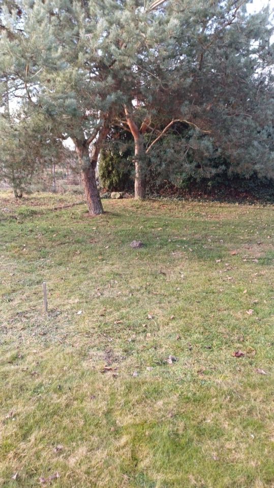 Działka rod Kluczbork, ul. Norwida. Zdjęcie 6