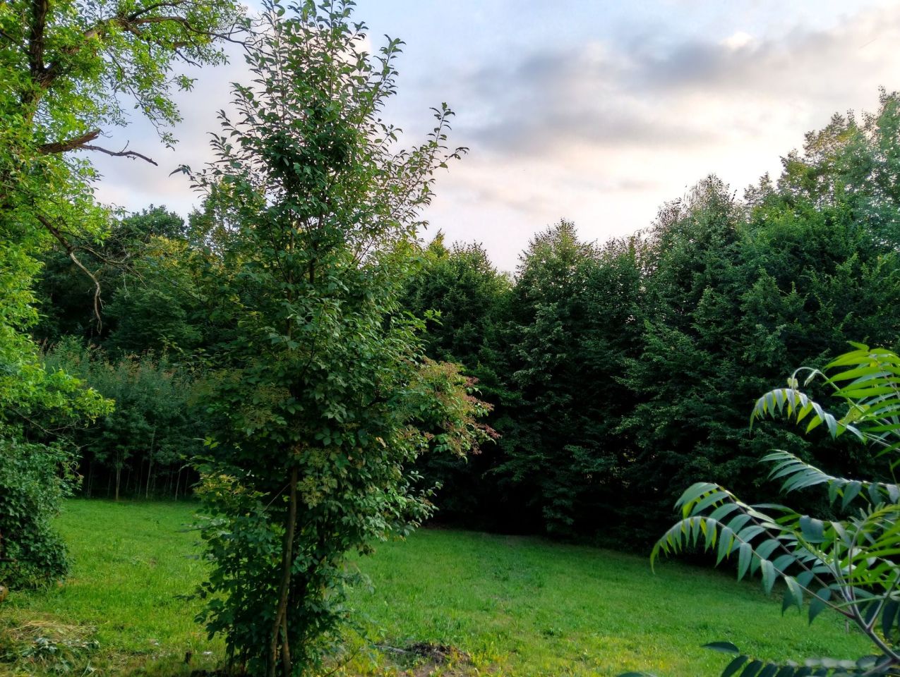 dom wolnostojący, 3 pokoje Szalowa. Zdjęcie 7