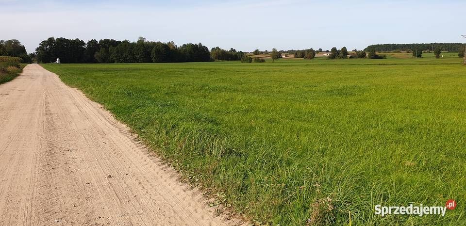 Działka rolna Huta Żelechowska. Zdjęcie 5