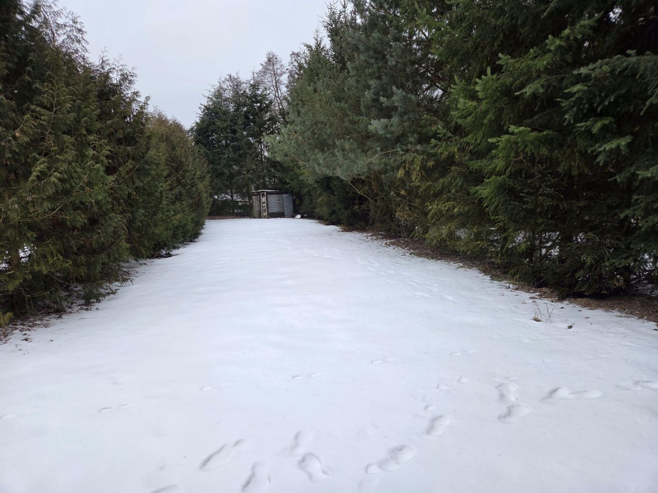 dom wolnostojący, 7 pokoi Strączno. Zdjęcie 70