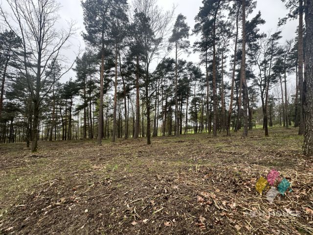 Działka budowlana Tałty. Zdjęcie 15