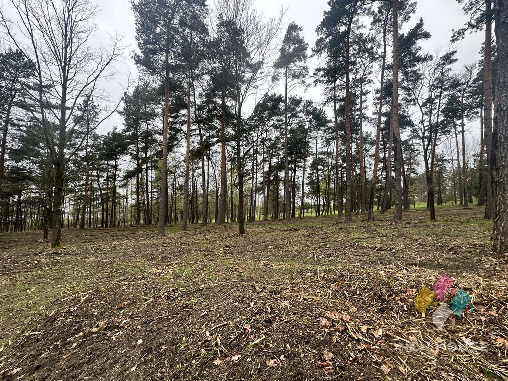 Działka budowlana Tałty. Zdjęcie 15