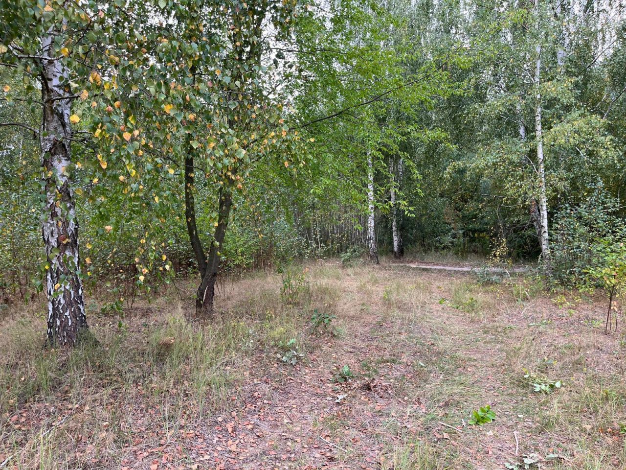 Działka budowlana Głosków, ul. Mewy. Zdjęcie 4