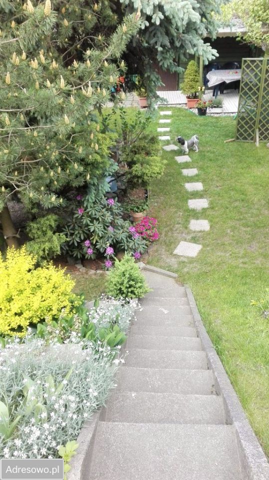 Mieszkanie 3-pokojowe Zgorzelec, ul. Brzozowa. Zdjęcie 10