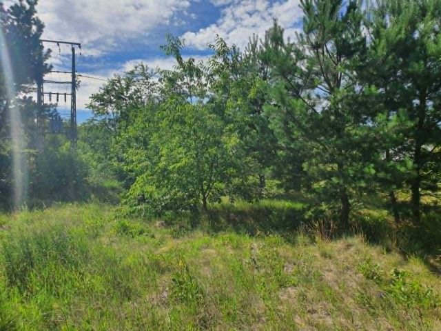 Działka budowlana Nieporęt. Zdjęcie 1