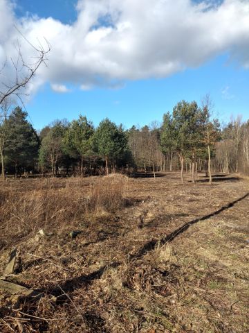 Działka budowlana Nowy Prażmów, ul. Akacjowa. Zdjęcie 1