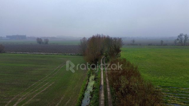 Działka budowlana Drewnica, ul. Wierzbowa. Zdjęcie 5