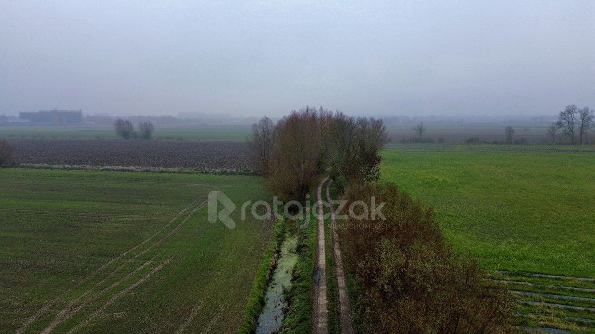 Działka budowlana Drewnica, ul. Wierzbowa. Zdjęcie 5