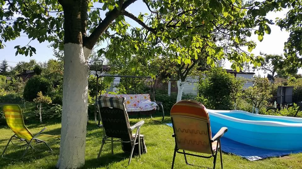 Działka rekreacyjna Jastrzębie-Zdrój Zofiówka, ul. Wojciecha Korfantego. Zdjęcie 3