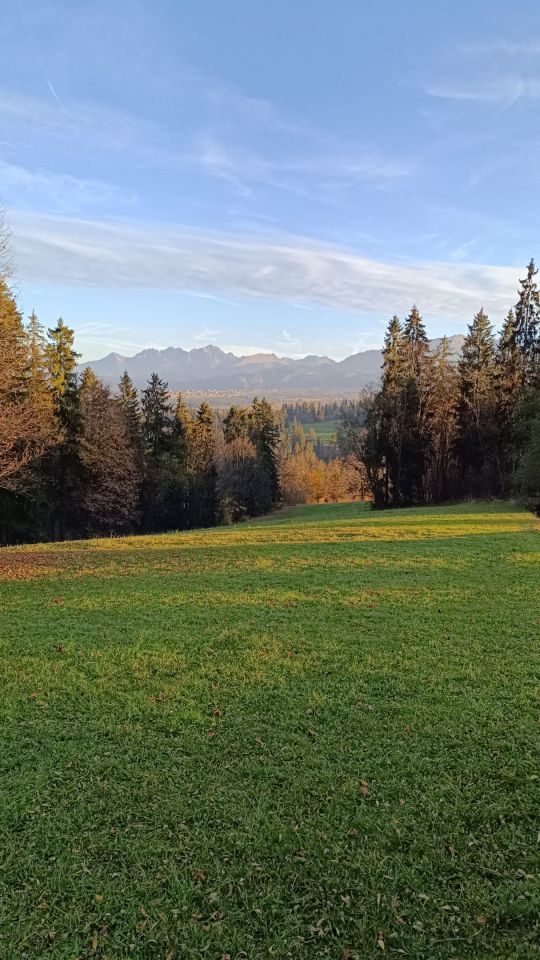 Działka rolna Suche. Zdjęcie 2