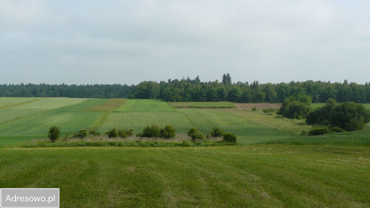 Działka siedliskowa Skała