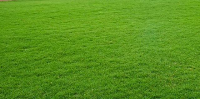 Działka budowlana Nowe Miasto, ul. Piastów. Zdjęcie 1