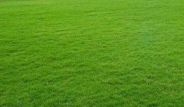 Działka budowlana Nowe Miasto, ul. Piastów