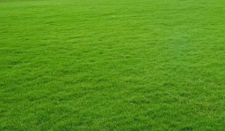 Działka budowlana Nowe Miasto, ul. Piastów