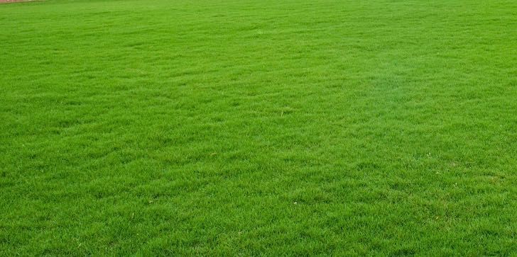 Działka budowlana Nowe Miasto, ul. Piastów