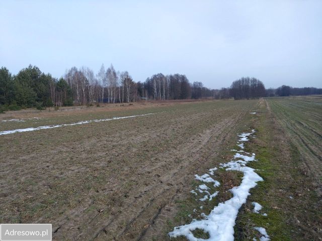 Działka budowlana Dłużka. Zdjęcie 1