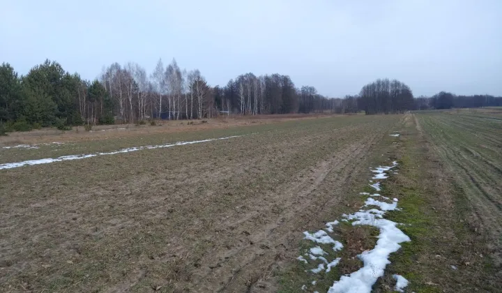 Działka budowlana Dłużka