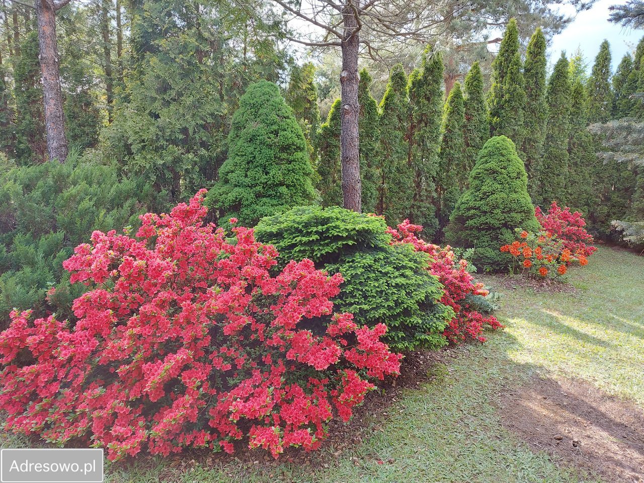 Działka rod Krępa, ul. Długa. Zdjęcie 6