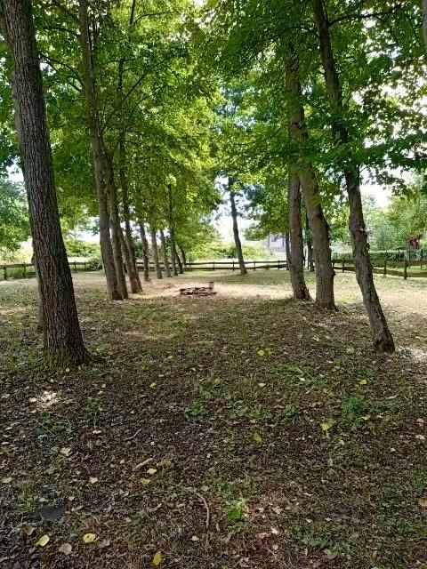 Działka budowlana Złotoryja, ul. Piastowa. Zdjęcie 3