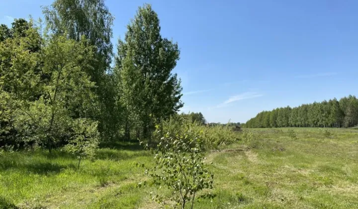 Działka budowlana Przywory Duże