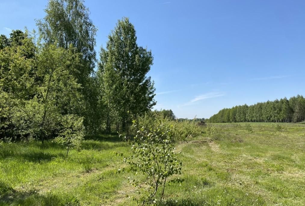 Działka budowlana Przywory Duże. Zdjęcie 1