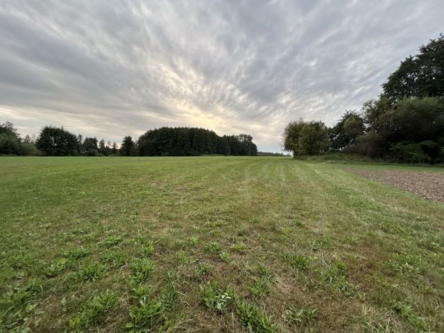 Działka rolna Karniewek. Zdjęcie 1