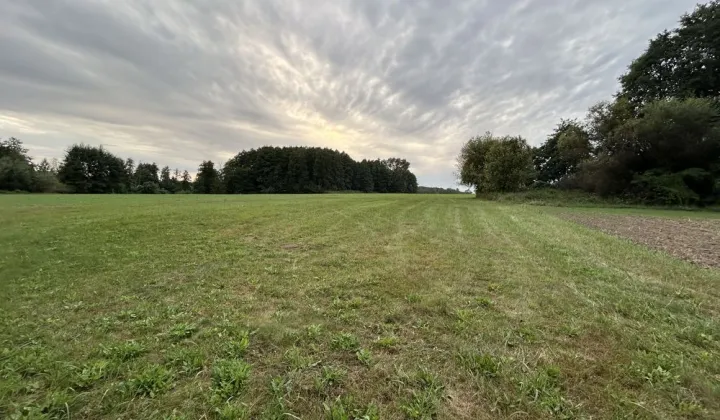 Działka rolna Karniewek