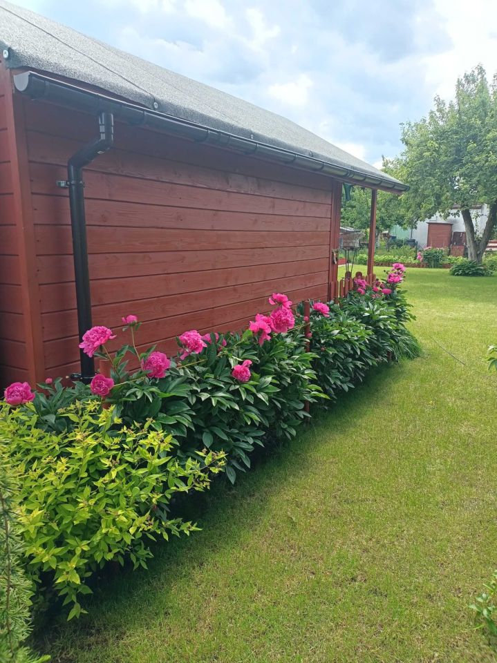 Działka rod Pruszcz Gdański, ul. Przemysłowa. Zdjęcie 6