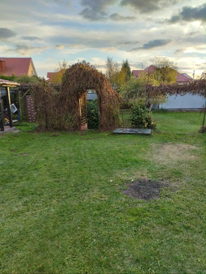 Działka budowlana Starachowice, ul. Żytnia. Zdjęcie 3