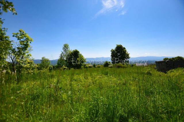 Działka inwestycyjna Komarno. Zdjęcie 5