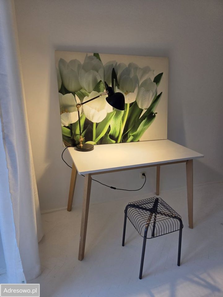 Mieszkanie 1-pokojowe Warszawa Powiśle, al. 3 Maja. Zdjęcie 8