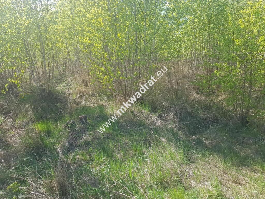 Działka budowlana Rusiec, www.mkwadrat.eu. Zdjęcie 3