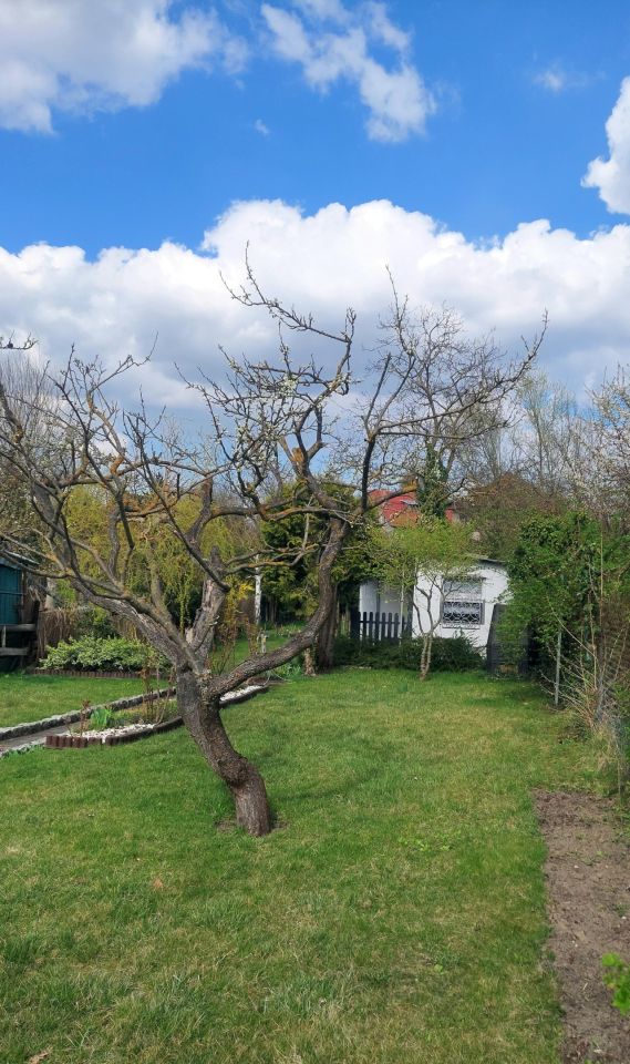 Działka rod Szczecin Gumieńce, ul. Ku Słońcu. Zdjęcie 8