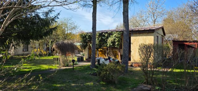 Działka rekreacyjna Lisi Ogon. Zdjęcie 1