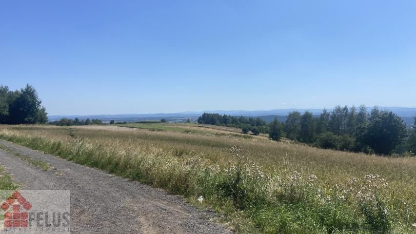 Działka siedliskowa Rybna. Zdjęcie 4