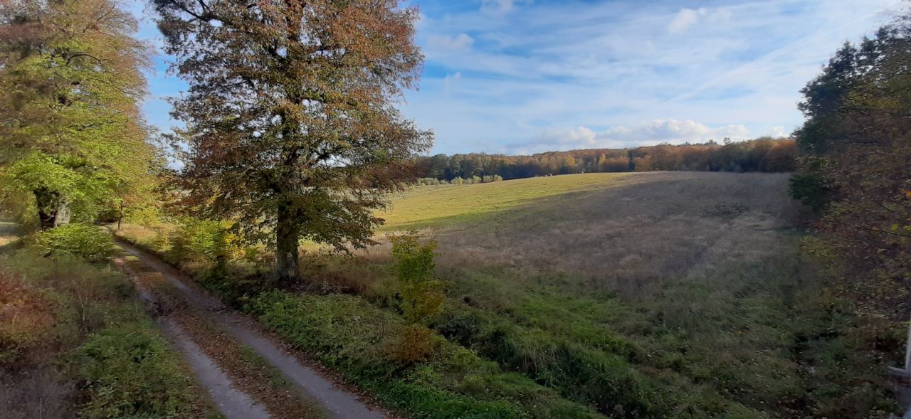 Działka rolno-budowlana Warkałki. Zdjęcie 7
