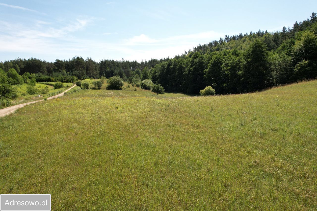 Działka rekreacyjna Stężyca. Zdjęcie 10