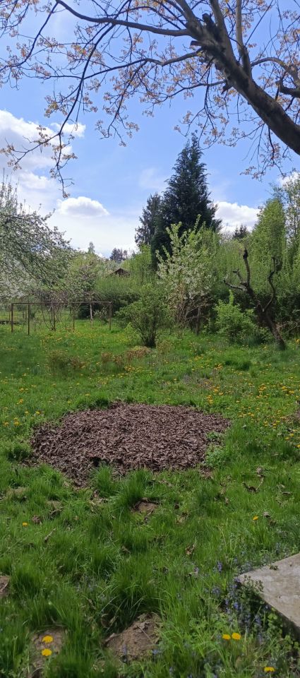 Działka rod Łapczyca. Zdjęcie 5