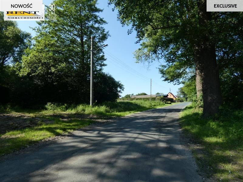 Działka budowlana Łoźnica. Zdjęcie 9