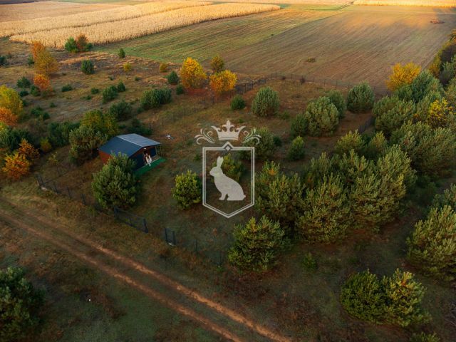 Działka budowlana Gnojno. Zdjęcie 4