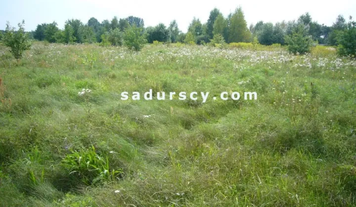 Działka budowlana Władysławów