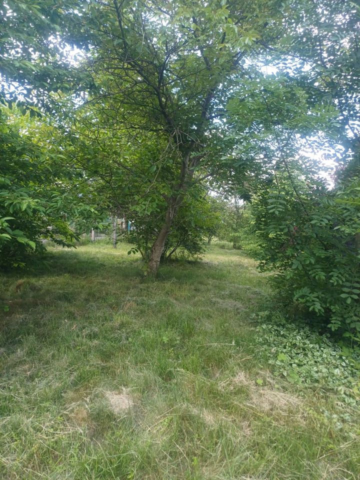 Działka Sienna. Zdjęcie 1