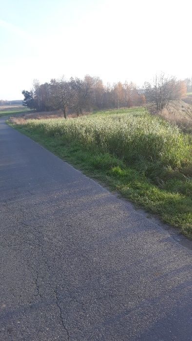 Działka rolno-budowlana Syberia. Zdjęcie 5